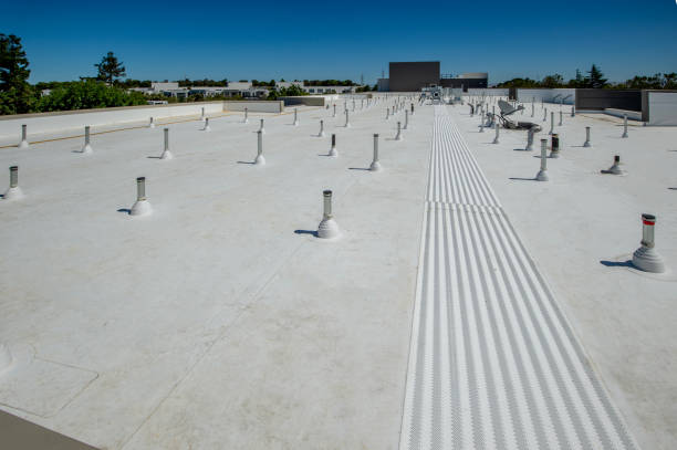 Best Asphalt Shingle Roofing  in Fairwood, WA